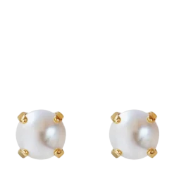Clearance Caroline Svedbom Classic Stud Earrings Gold - Pearl