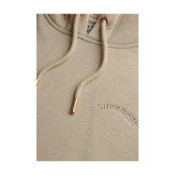 Best Superdry Essential Logo Emb Hood Hb - Feather Grey