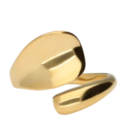 Discount My Jewellery Ring Hollow Os - Gold