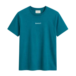 Clearance Gant a Graphic T-hirt - Aqua Bue