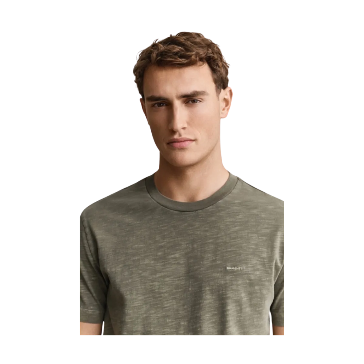 Best Gant Washed Sub Tshirt - Dry Herb Green